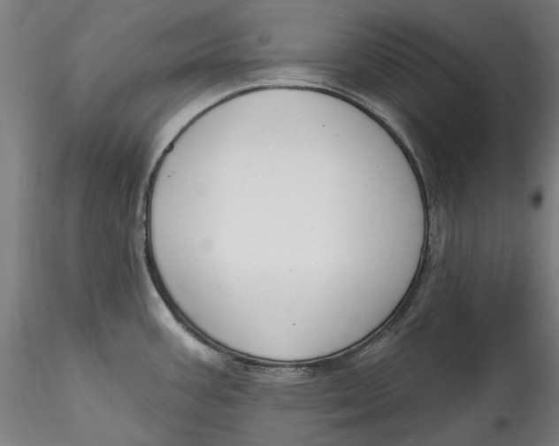 X0000115531387200911271336