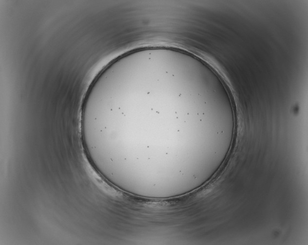 X0000115531388200911271336