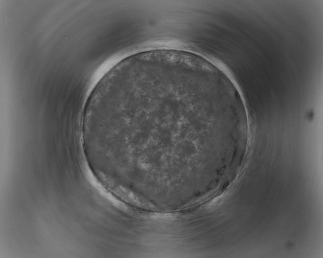 X0000115531389200911271336