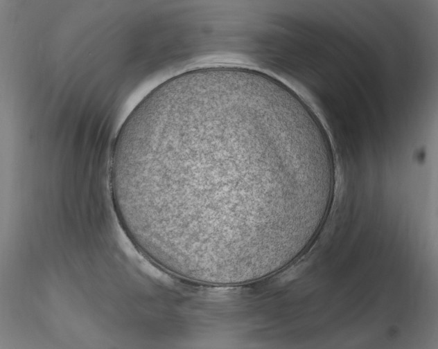 X0000115531390200911271336