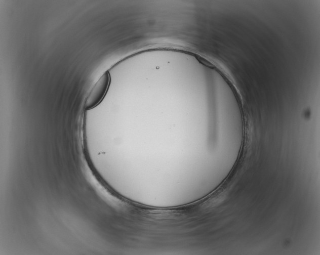 X0000115531391200911271336