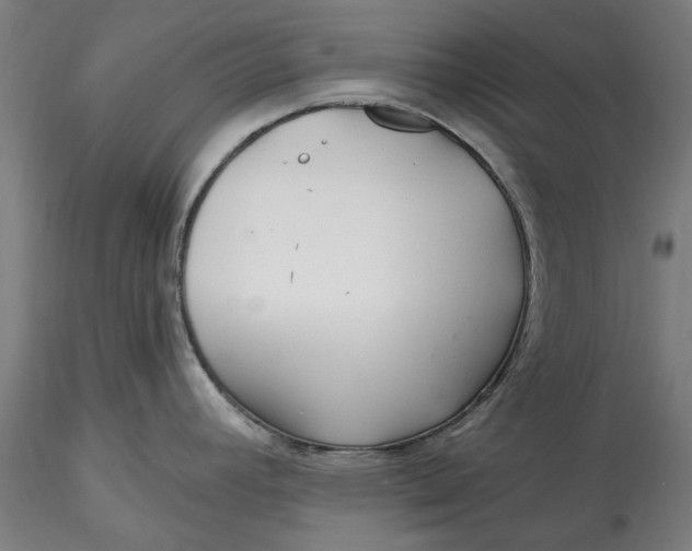 X0000115531392200911271336