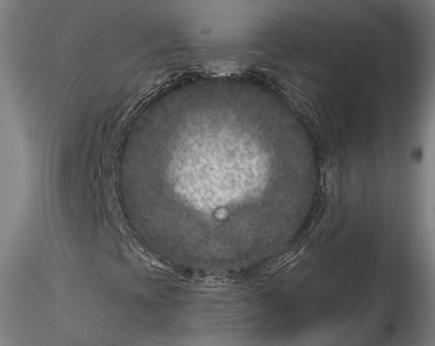 X0000115531393200911271335