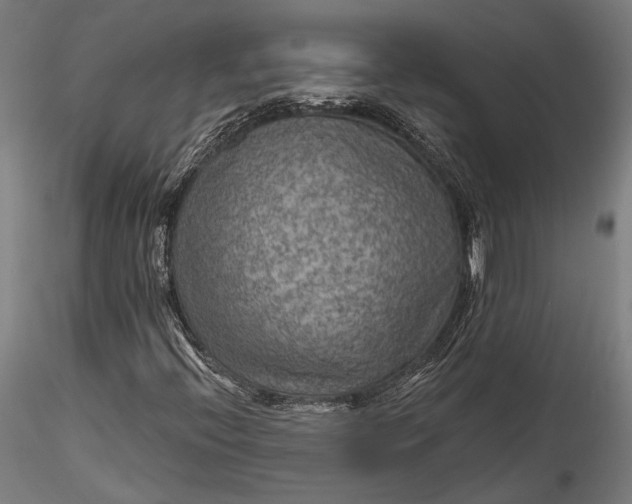 X0000115531396200911271335