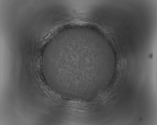 X0000115531397200911271335