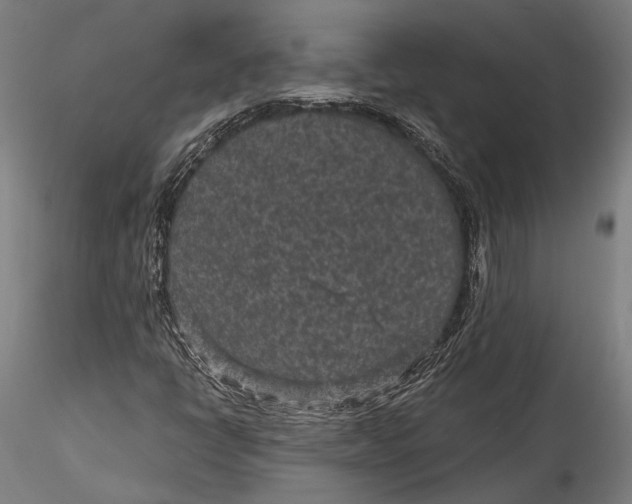 X0000115531398200911271335