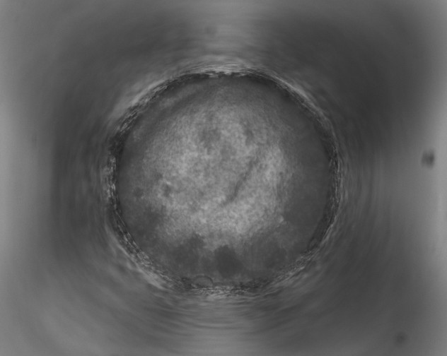 X0000115531399200911271335