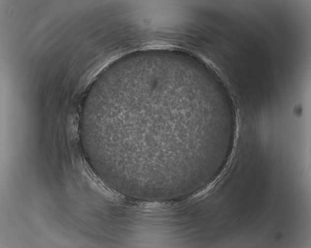 X0000115531401200911271335