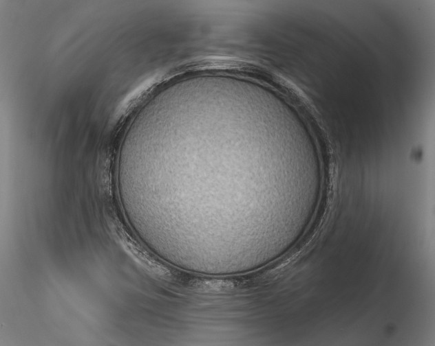 X0000115531403200911271335