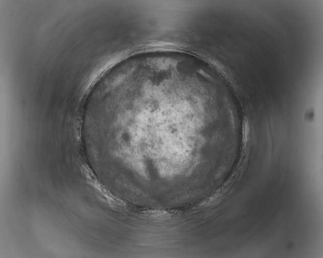 X0000115531405200911271335