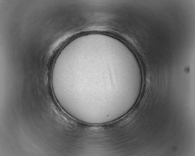 X0000115531406200911271335