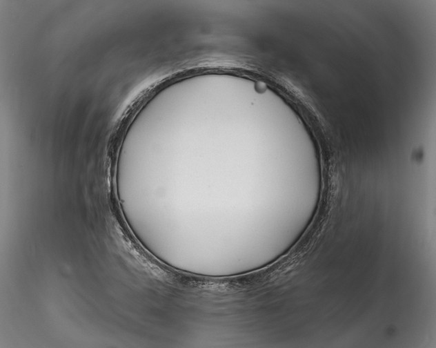 X0000115531408200911271335