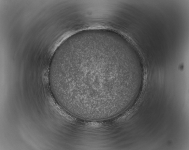 X0000115531409200911271335