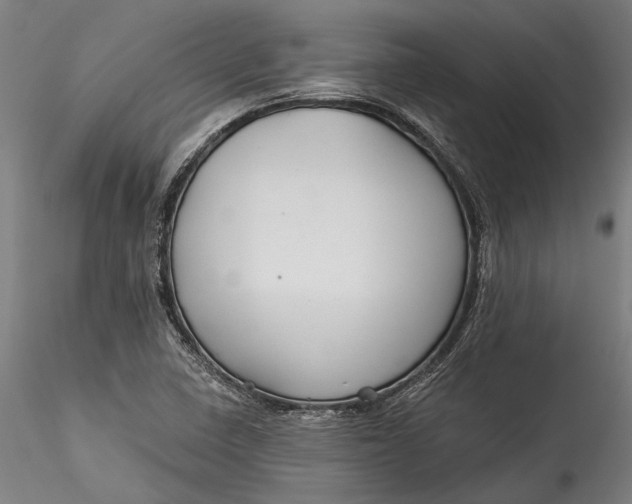 X0000115531410200911271335