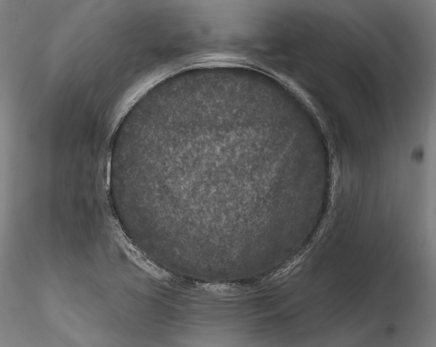 X0000115531413200911271335