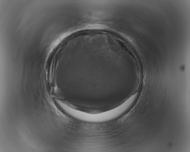 X0000115531414200911271335