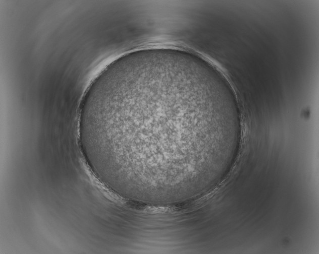 X0000115531415200911271335