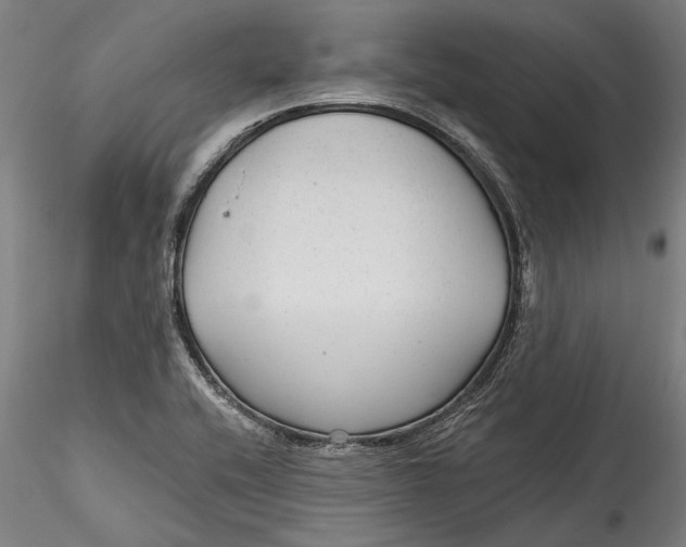 X0000115531416200911271335