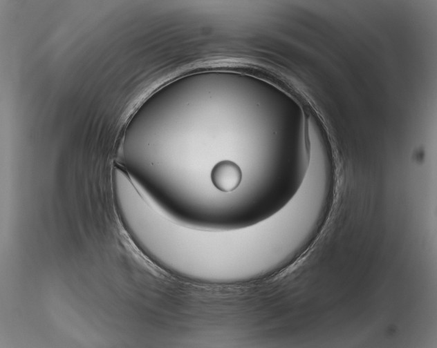 X0000115531417200911271335