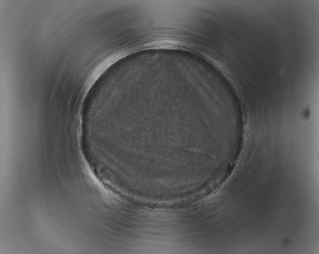 X0000115531418200911271335