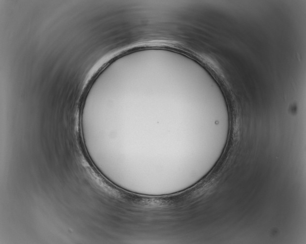 X0000115531420200911271335