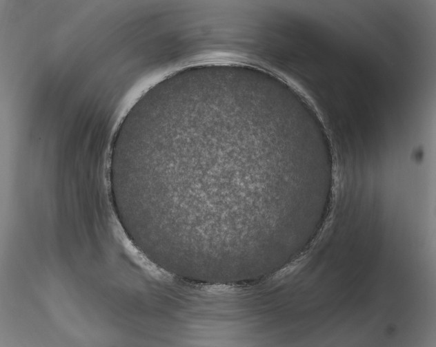 X0000115531421200911271335