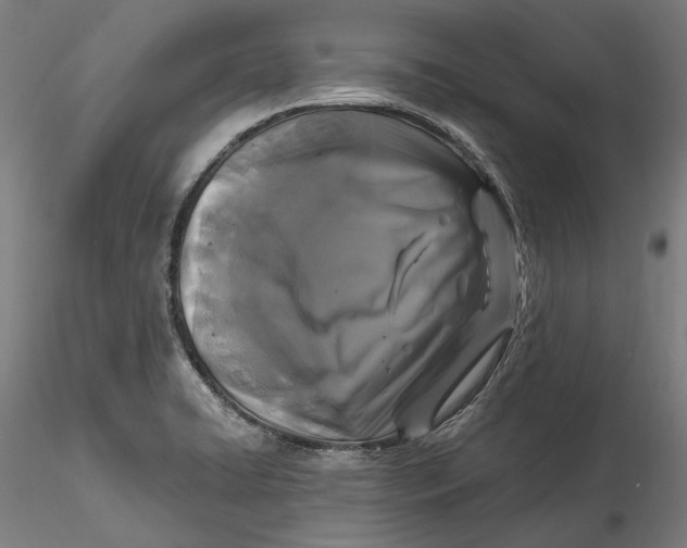 X0000115531422200911271335