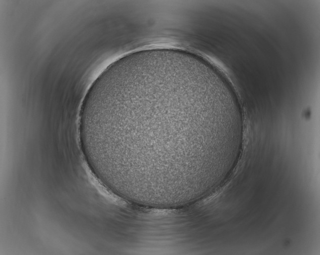 X0000115531423200911271335