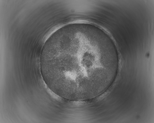 X0000115531425200911271335