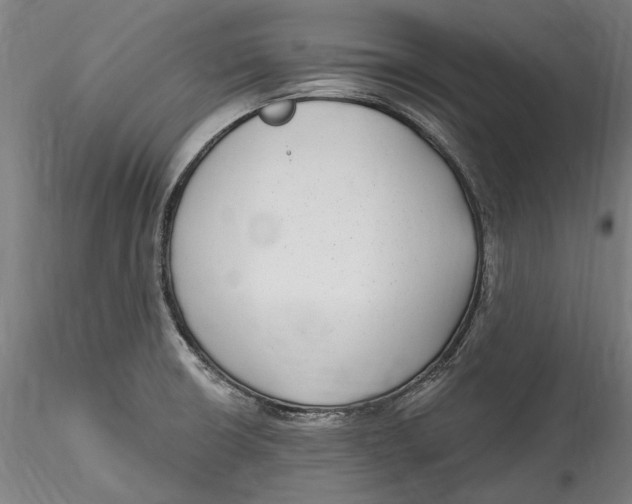 X0000115531426200911271335