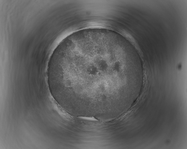 X0000115531427200911271335