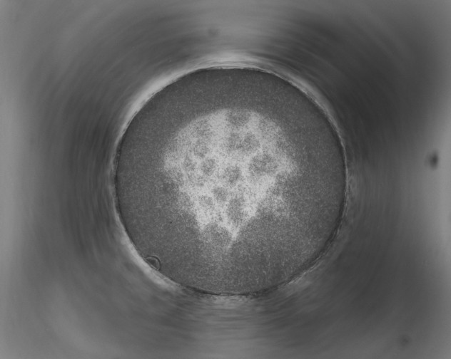 X0000115531429200911271335