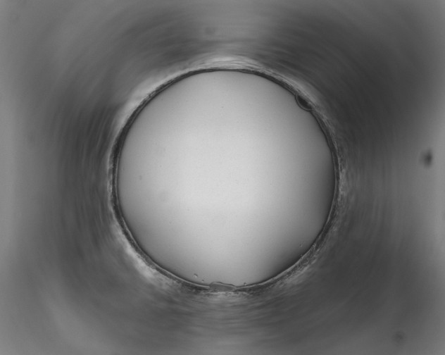 X0000115531430200911271335