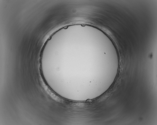 X0000115531431200911271335