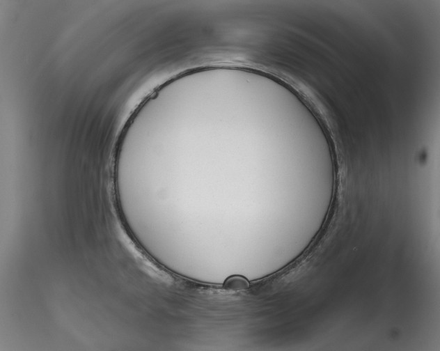 X0000115531432200911271335