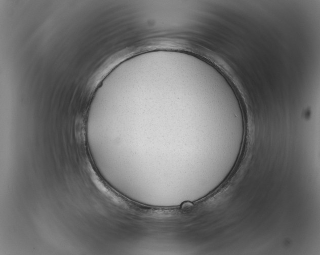 X0000115531433200911271335