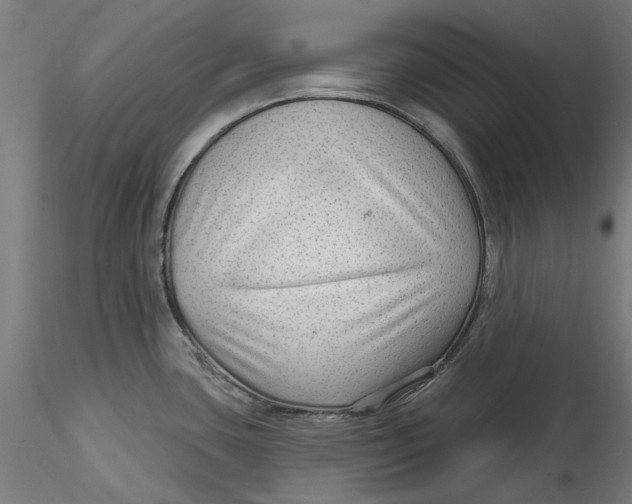 X0000115531435200911271335