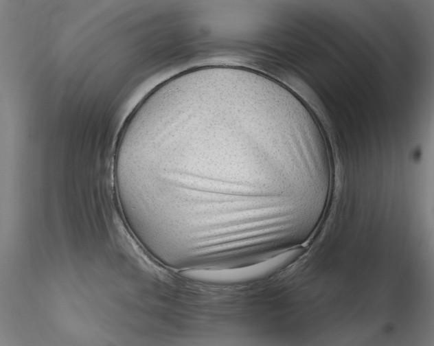 X0000115531436200911271335