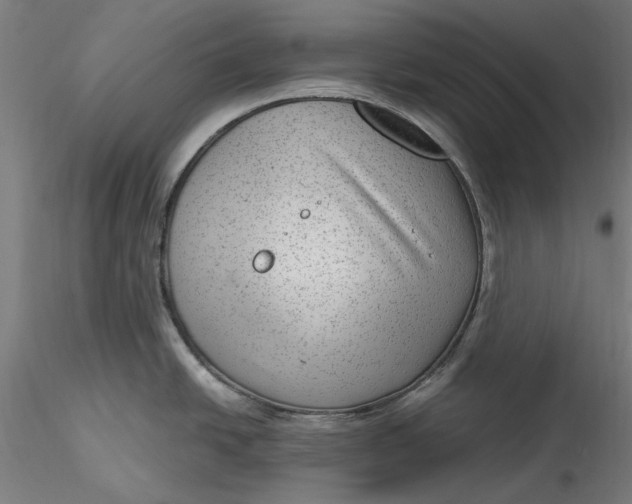 X0000115531438200911271336