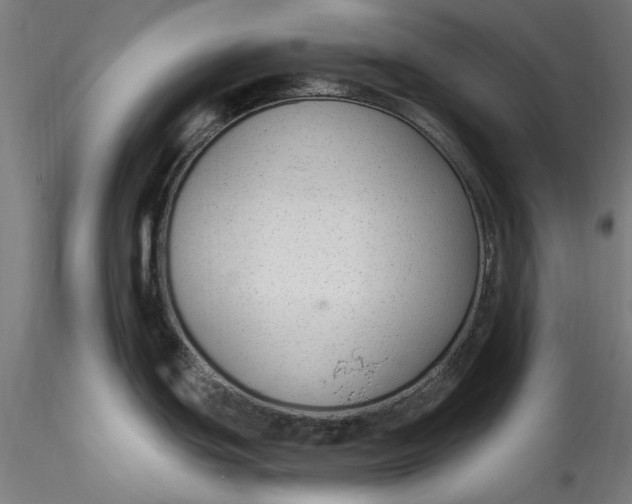 X0000115531439200911271336