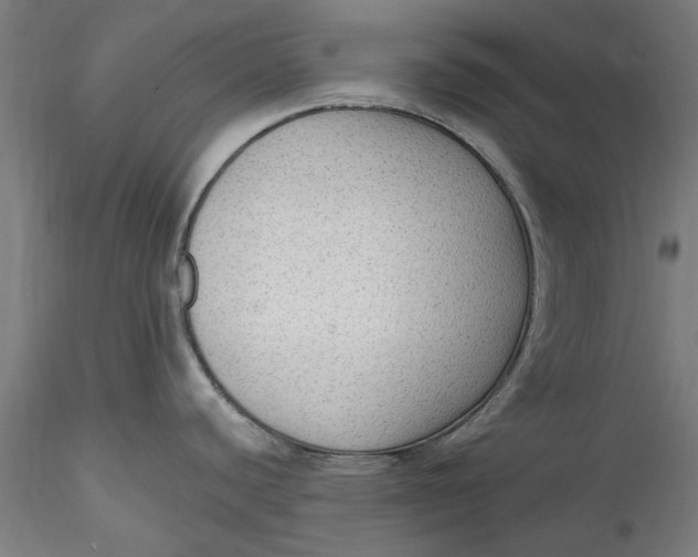 X0000115531440200911271336