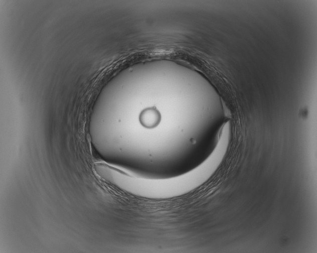 X0000115531441200911271335