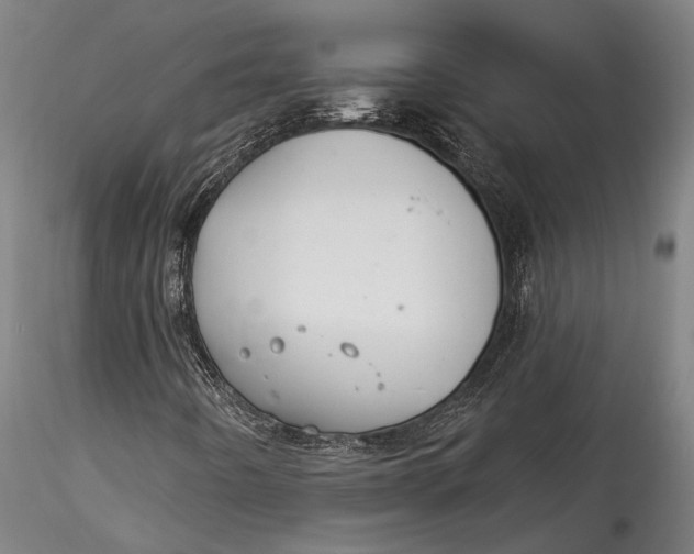 X0000115531442200911271335