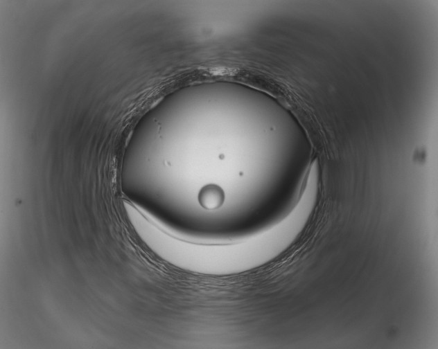 X0000115531443200911271335