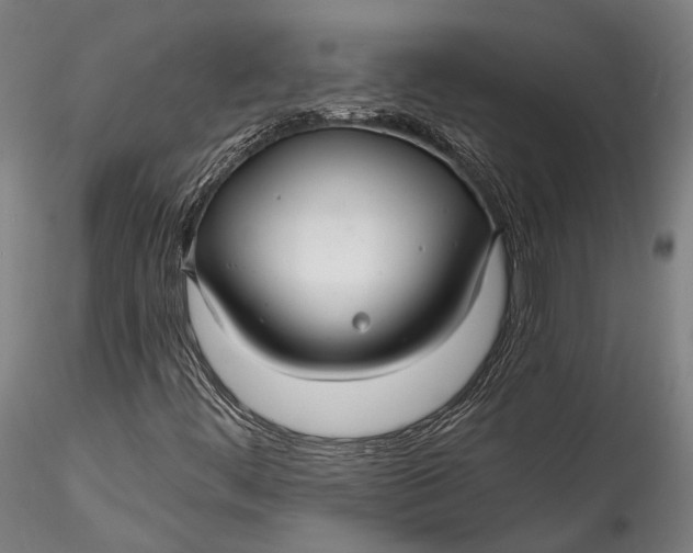 X0000115531444200911271335