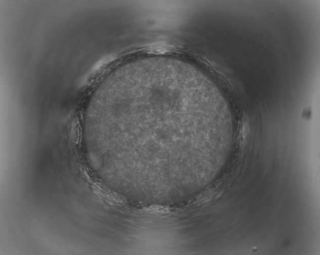 X0000115531446200911271335