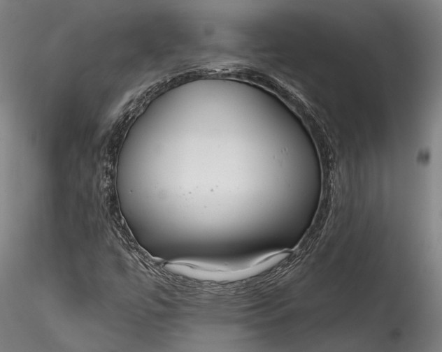 X0000115531447200911271335