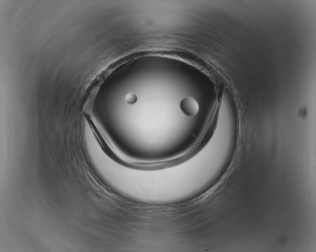 X0000115531449200911271335