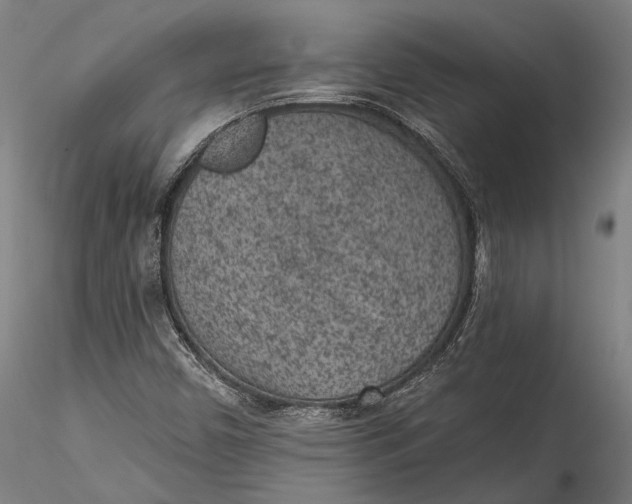 X0000115531450200911271335