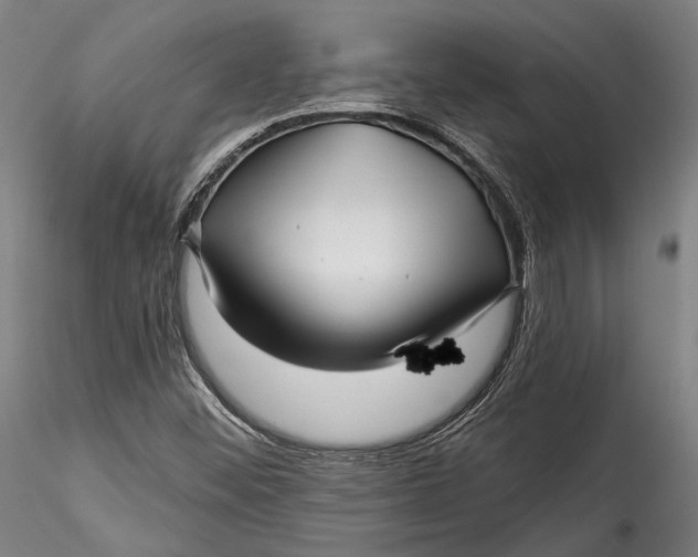 X0000115531452200911271335